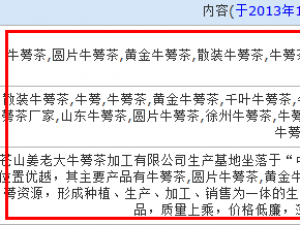 部分企业网站常见被降权的5个原因及解决办法(一)