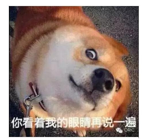 万达电商 万达电商CEO 万达电商招聘