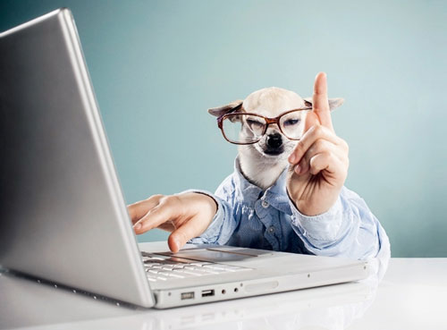 网站营销推广方案