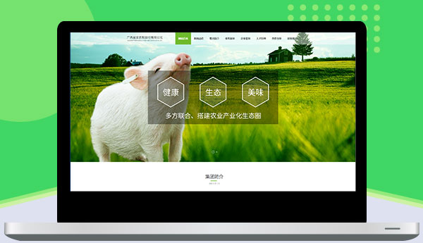 广西品安农牧股份有限公司